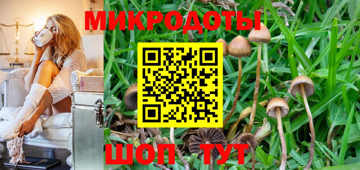 Галлюциногенные грибы Psilocybine cubensis  Вход с VPN  Сегежа  продажа наркотиков  Псилоцибиновые грибы Cubensis 