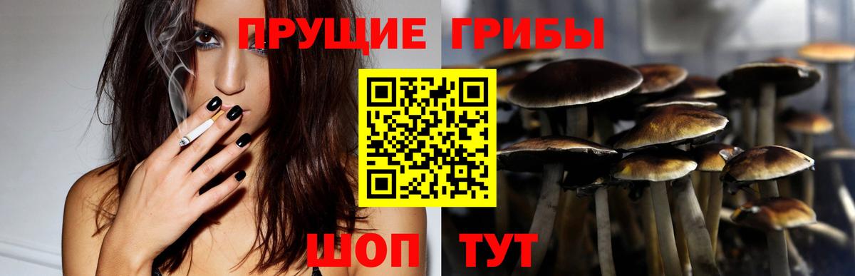 Псилоцибиновые грибы Magic Shrooms Сегежа